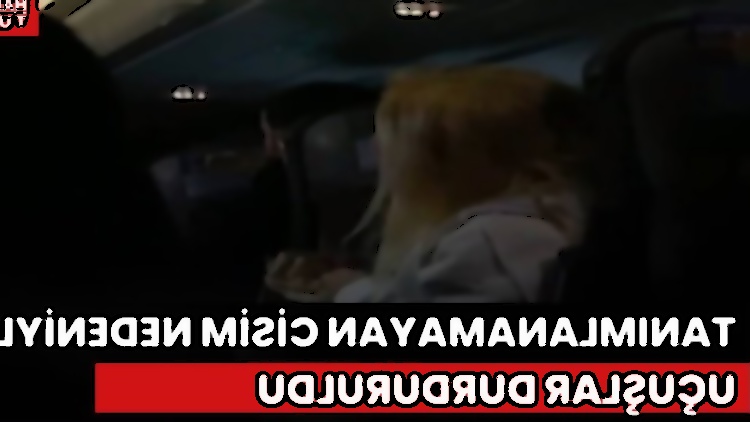 Gaziantep Havalimanı'nda Uçuşlar Tanımlanamayan Cisim Nedeniyle Durduruldu